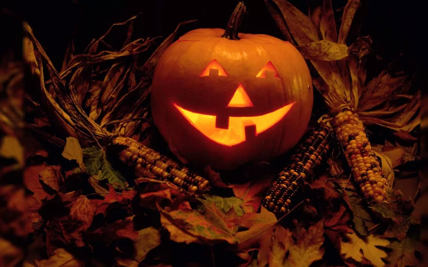That was really scary... Perfect trick for Halloween. 1 할로윈
