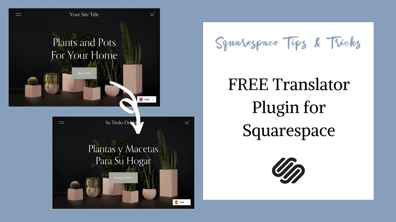 Translate Squarespace website