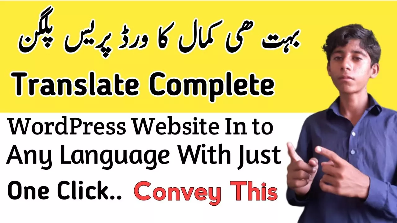 How to Translate Wordpress Website In To Any Language Just One Click 1 revisione tecnica pyaar