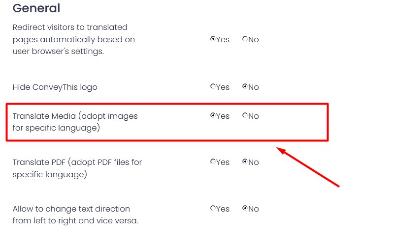 Enable Text Direction Changes for Multilingual Websites with ConveyThis 1 translate media