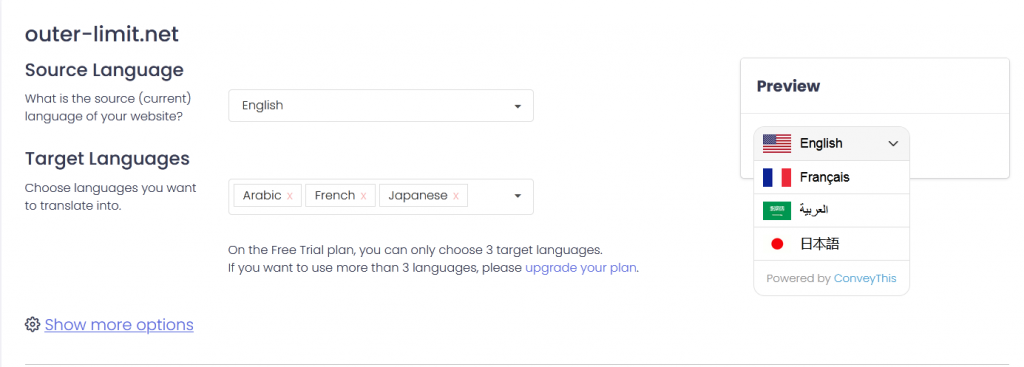How to Add Multiple Languages to Your Website 4 image 2